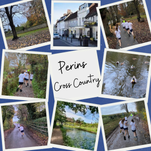 Article Thumbnail Image