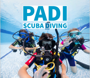 Article Thumbnail Image