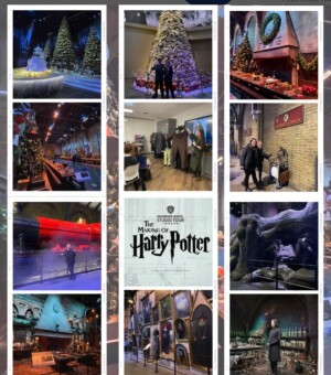 Article Thumbnail Image